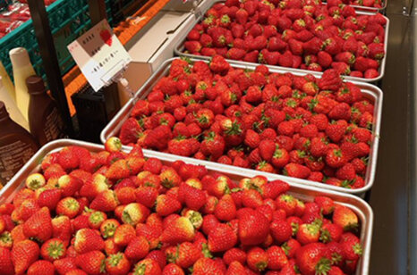 飯田橋店でいちご食べ放題開催中