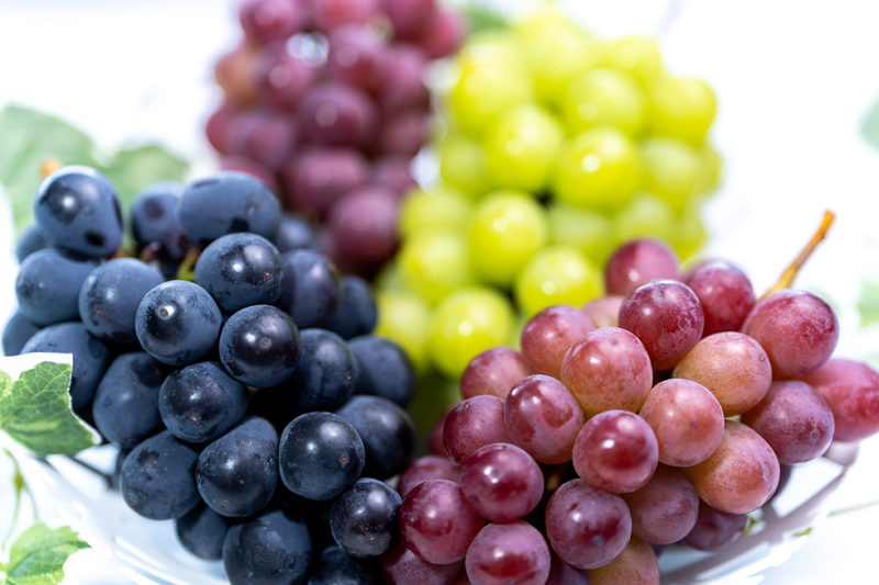 ぶどうの種類