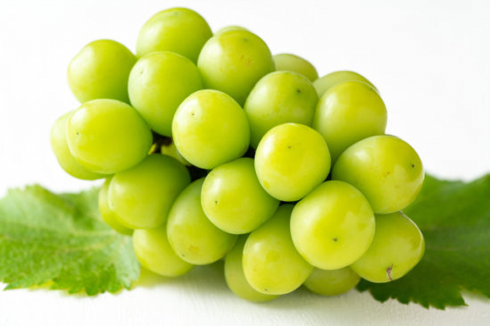 シャインマスカット一房