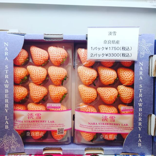 ✨果実園リーベル新宿店✨⁡⁡
⁡⁡⁡
⁡白いちごの「淡雪」⁡⁡や香りが強く糖度が高い「越後姫」といったイチゴもまだまだございます🍓🍓
もちろんあまおうも販売中です🥰
⁡⁡
⁡⁡お問い合わせはこちら⤵︎ ︎までお願いいたします☺️
◆果実園リーベル新宿店
東京都渋谷区代々木2-7-7南新宿ビルB1
☎03-6276-8252
⁡⁡
⁡果実園 #果実園リーベル #果実園リーベル新宿店 
#リーベル #新宿 #新宿カフェ #新宿ランチ #新宿グルメ #新宿ディナー #フルーツパーラー #フルーツ #くだもの #フルーツタルト #フルーツサンド #フルーツパフェ #パフェ #パフェ巡り #パフェ活 #パフェ部 #ズコット #sweet #スイーツ #スイーツすきな人と繋がりたい #スイーツ好き #パンケーキ #デザート #ケーキ #cake #いちご #白いちご