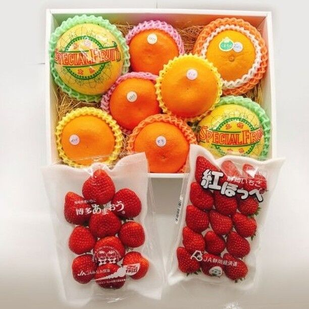 【柑橘玉手箱＋いちご２パック詰め合わせ】
※300円割引クーポンあり
春の到来にちなんでおすすめ柑橘５種と苺２種の詰め合わせを販売中！
【オンラインショップURL】
https://kajitsuen.shop 
【クーポンコード】
kankitsu0313