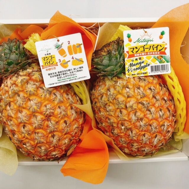 【限定30セット 台湾産マンゴーパイン (2個入り)】
※300円割引クーポン有
夏の到来にちなんで台湾産マンゴーパイン(2個入り)を販売中！
【オンラインショップURL】
https://kajitsuen.shop 
【クーポンコード】
2023mangopine
#マンゴーパイン　#果実園